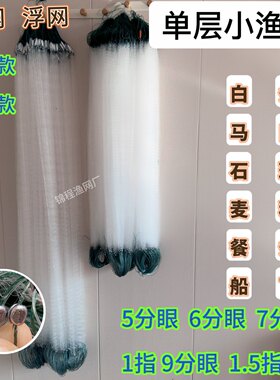 单层渔网粘网白条餐条专用小鱼网丝网沉网浮网捕鱼网5分6分7分1指