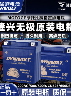 隆鑫无极200 300/500RAC CU525 650DS摩托车全新原厂正品猛狮电瓶