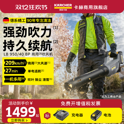 950/40大功率吹风机吹雪机