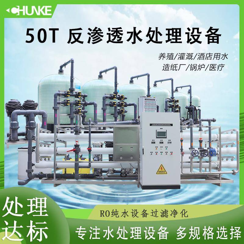 厂家直供50立方米每小时工业纯化水处理设备系统供锅炉用水高效