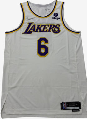 Nike耐克正品NBA湖人队75周年詹姆斯男女同款篮球球衣DB3227-102