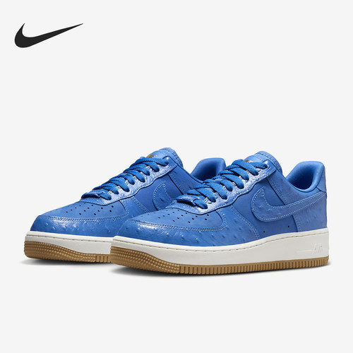 Nike/耐克正品当季新款女士时尚耐磨运动休闲板鞋DZ2708-400