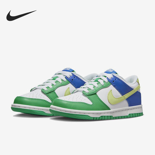Nike耐克正品Dunk Low大童低帮耐磨透气运动休闲板鞋FN6973-100