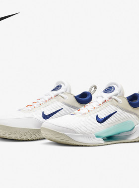 Nike/耐克正品Zoom Court NXT HC 男子硬地球场网球鞋 DH0219-141