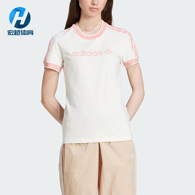 Adidas/阿迪达斯正品三叶草女士经典修身针织运动透气短袖IY9234
