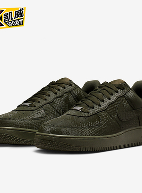 Nike/耐克正品2025秋季款男士日常蛇皮纹低帮耐磨板鞋IB0018-301