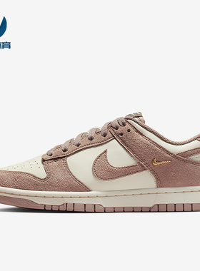 Nike/耐克正品2025秋季款女士耐磨运动透气日常板鞋IB4417-105