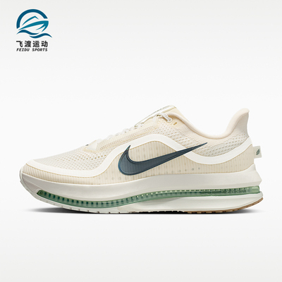 Nike/耐克正品PEGASUS PREMIUM男士防滑网面训练跑步鞋HQ2592-106