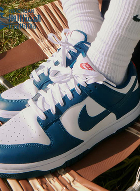 Nike/耐克正品Dunk Low Retor男士轻便经典板鞋DD1391-400
