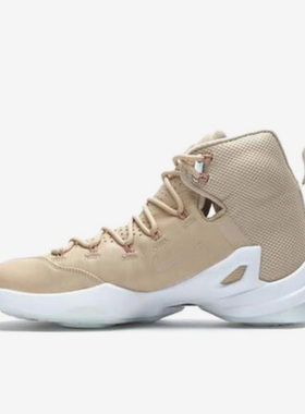 Nike/耐克正品男士舒适百搭防滑轻便高帮篮球鞋876806-299