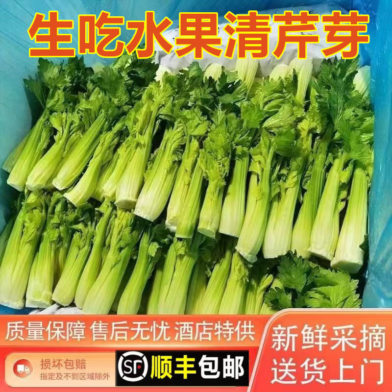 新鲜清芹芽顺丰云南特产新鲜蔬菜 炒菜火锅蔬菜新鲜水果清芹