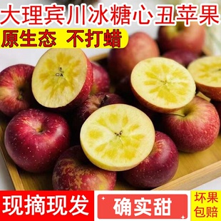 云南大理宾川冰糖心丑苹果平川高山红脆酸甜新鲜现摘现发10斤大果