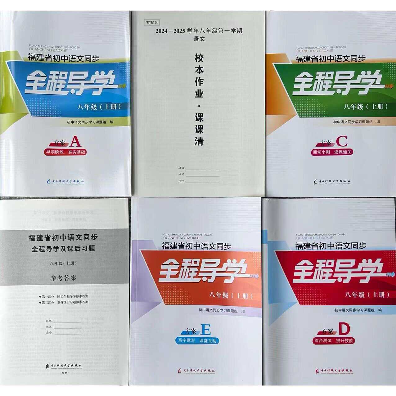 2025版福建省初中语文同步