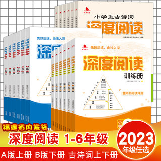 2024版 深度阅读训练册A版B版小学生古诗词阅读 四年级一二三五六年级a版b版123456年级福建小学语文理解书上册下册训练手册书籍