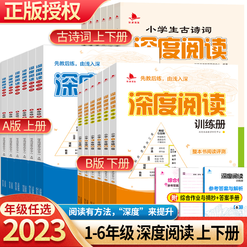 203新版深度阅读训练册AB