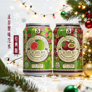 2罐装 溪存苏打水真果汁口味气泡水碳酸汽水尝鲜装 330ml