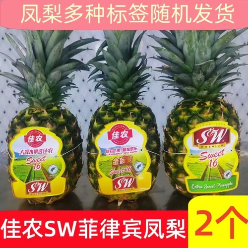 佳农SW凤梨菲律宾进口新鲜热带水果无眼金菠萝削皮即食饮品店顺丰