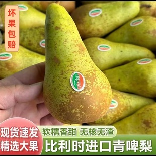 比利时进口啤梨荷兰青啤梨当季新鲜儿童孕妇老人水果无核软糯香甜