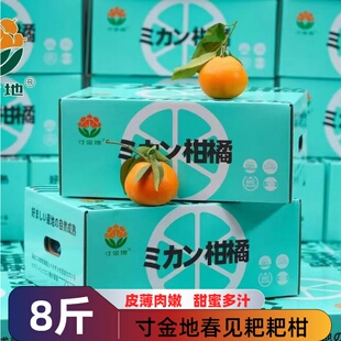 四川寸金地春见耙耙柑原箱礼盒装橘子桔子新鲜水果甜嫩多汁柑橘