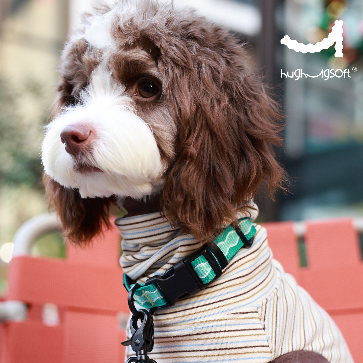 圣诞新年时尚轻量中小犬宠物项圈