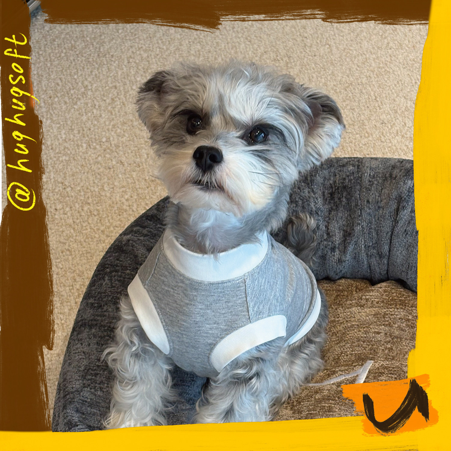 hughugsoft®可拆洗猫狗深睡包裹圆窝沙发级面料保暖秋冬小型耐用