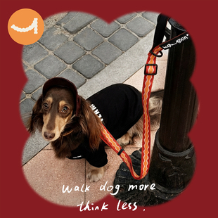 hughugsoft®宠物牵引绳轻量化可调节外出遛狗中小犬安全不勒脖