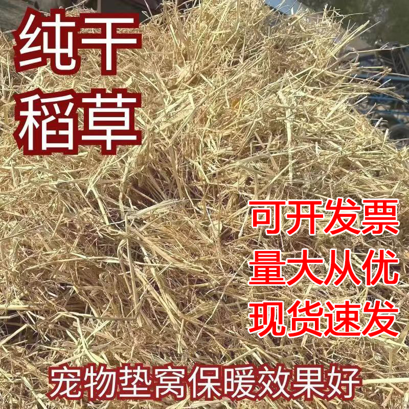 23新稻草宠物草窝草垫牛羊食料装饰填充鸡鸭鹅兔狗垫窝干草软草 鲜花速递/花卉仿真/绿植园艺 打草绳等其他绳子 原图主图