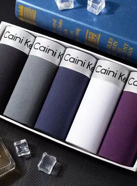 5Pcs/Men's Shorts Brand Underwear Fashion Trend Sexy Boxer B