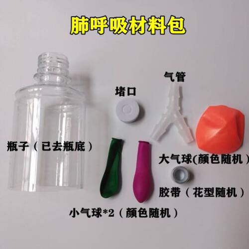 肺呼吸模型小制作作业小学生模拟器膈肌科技初中手工科学生物教具