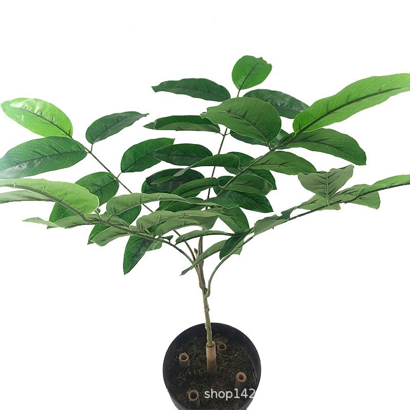 仿真水果树叶植物假树叶5叉核桃叶芒果叶单枝拍摄家居装饰厂家