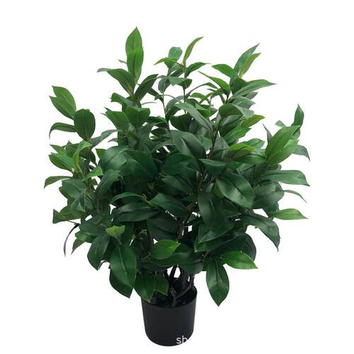仿真植物油茶树绿植盆栽茶树室内家居装饰摆件拍摄茶叶厂家