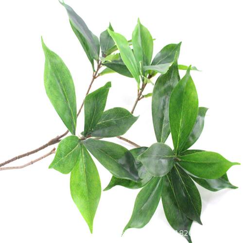仿真植物单枝野瑞香乔木厚皮香叶桑树田园落地装饰博物馆厂家