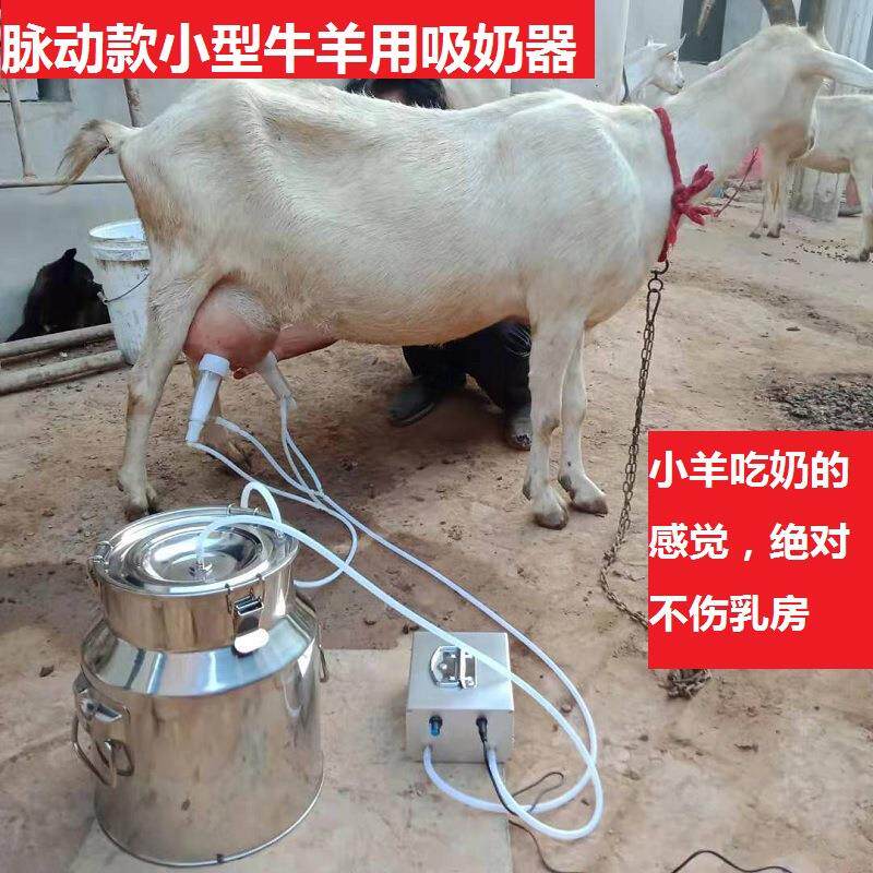 吸羊奶器真空脉动挤羊奶机小型家用牛羊吸奶器牛挤奶器电动吸奶器