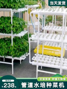 小型生菜青菜水耕栽新 促阳台无土栽培设备水培蔬菜管道种植家庭式