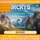 孤岛惊魂5 PC电脑单机游戏全DLC中文 Far Cry
