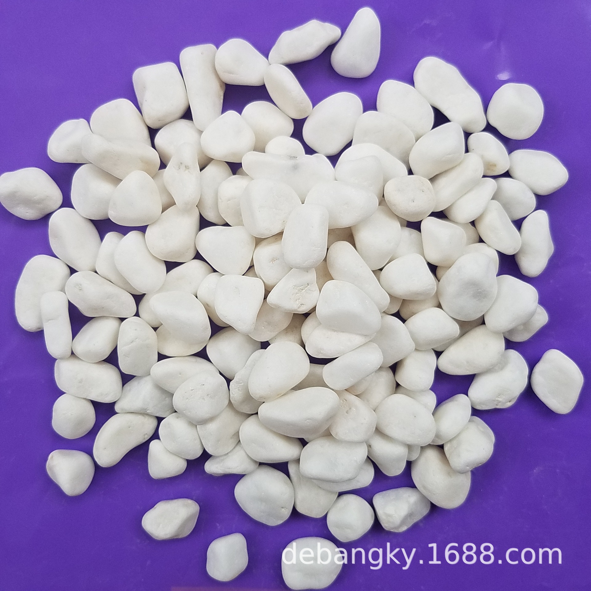 厂家供应 彩色鹅卵石 园艺景观石 白色水磨石石子 植物铺面白石