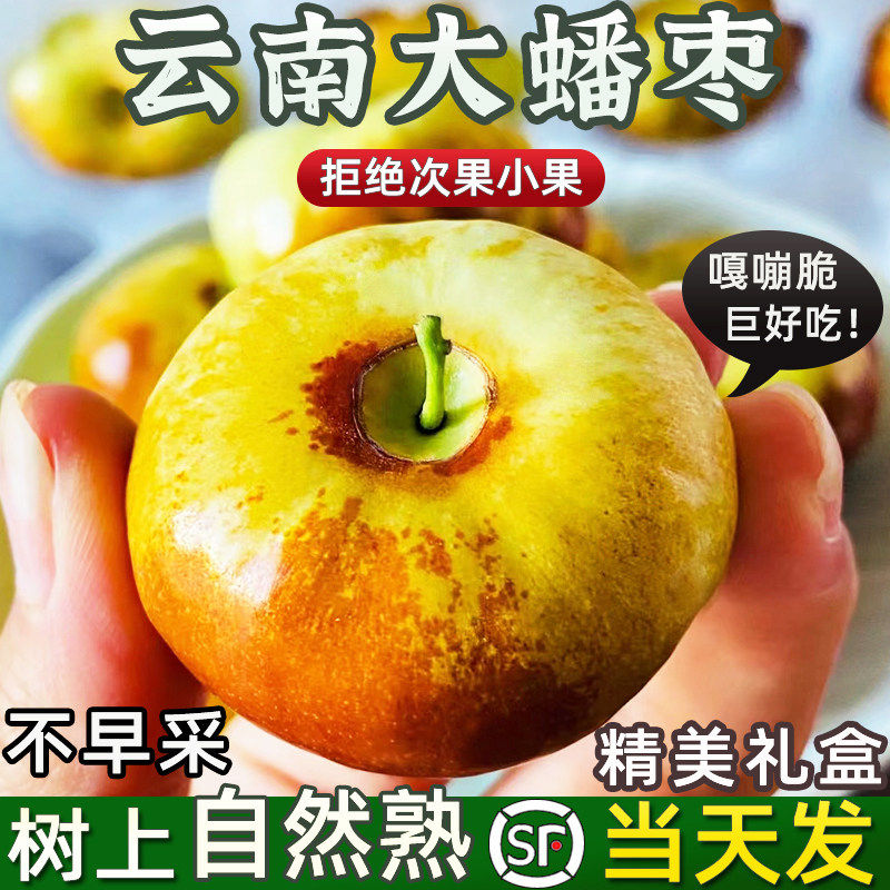 【顺丰】云南蟠枣新鲜现摘蜜罐枣非大荔冬枣脆甜青枣孕妇当季大果