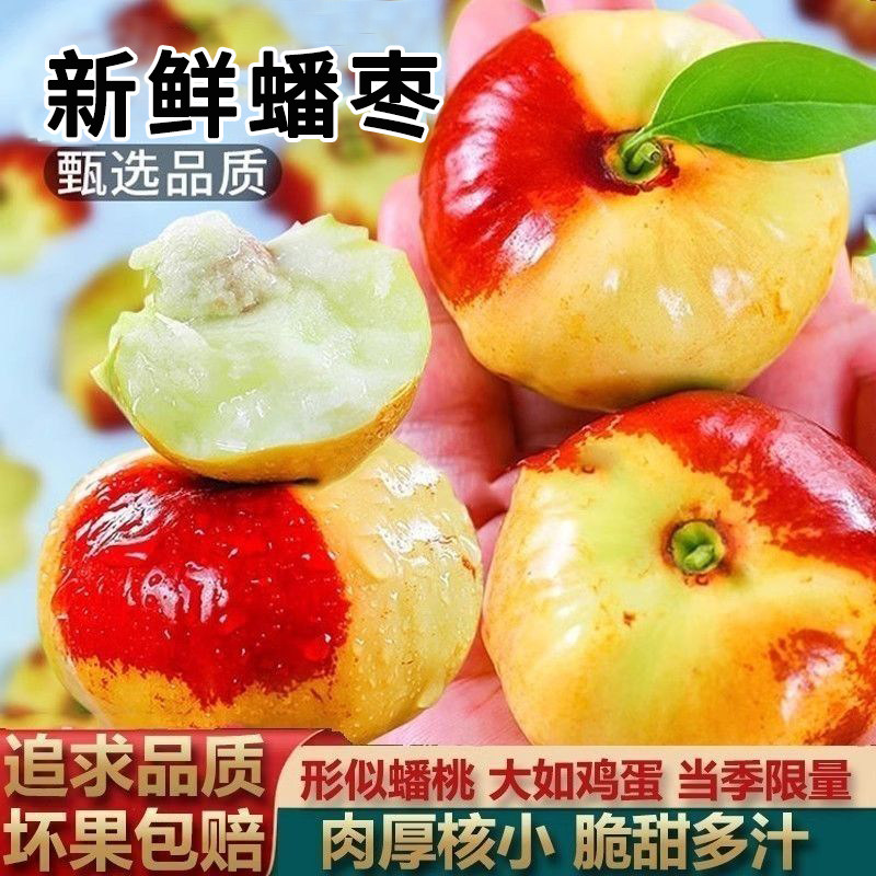 【顺丰速运】新鲜蟠枣现摘大潘枣脆甜青枣非大荔冬枣孕妇当季水果
