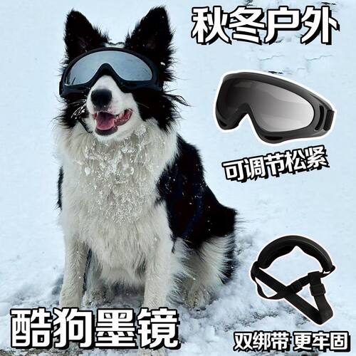 秋冬户外狗狗护目镜中大型犬专用