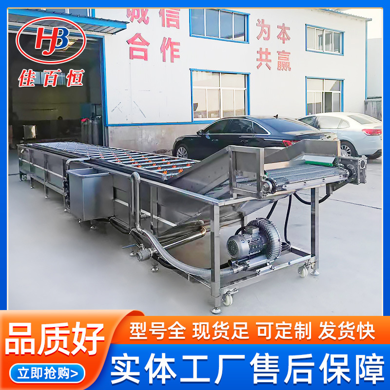 全自动果蔬洗菜机 商用海鲜包装袋物料清洗机器 多功能气泡清洗机