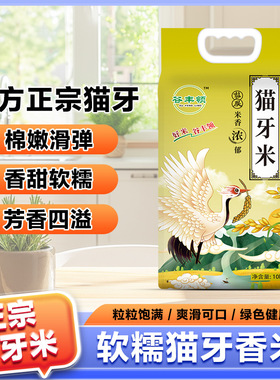 猫牙米10斤南方正宗长粒猫牙香米蛋炒饭米长粒香米煲仔饭猫牙米