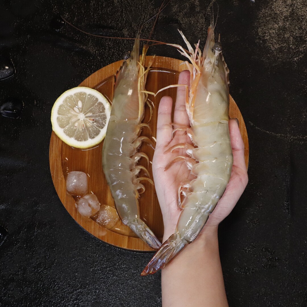 渔寻季野生海捕生鲜明虾海鲜水产大虾鲜活速冻超大3-4只刺身海虾