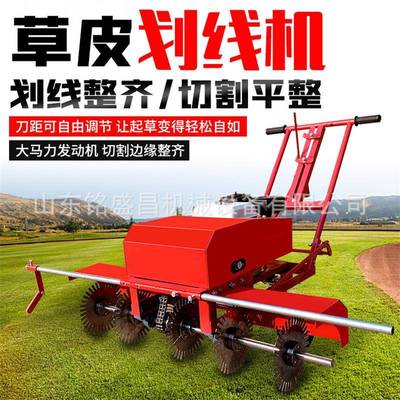 手推式草坪划线机草皮移植切线机草地切块机成活率高起草设备