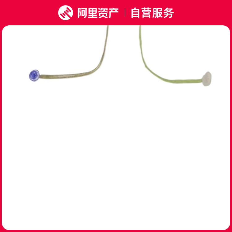 胡安·米罗 亲笔签名【自言自语三联】彩色石版画 正品保真带装裱