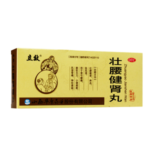 10丸 5.6g 盒 壮腰健肾丸 立效