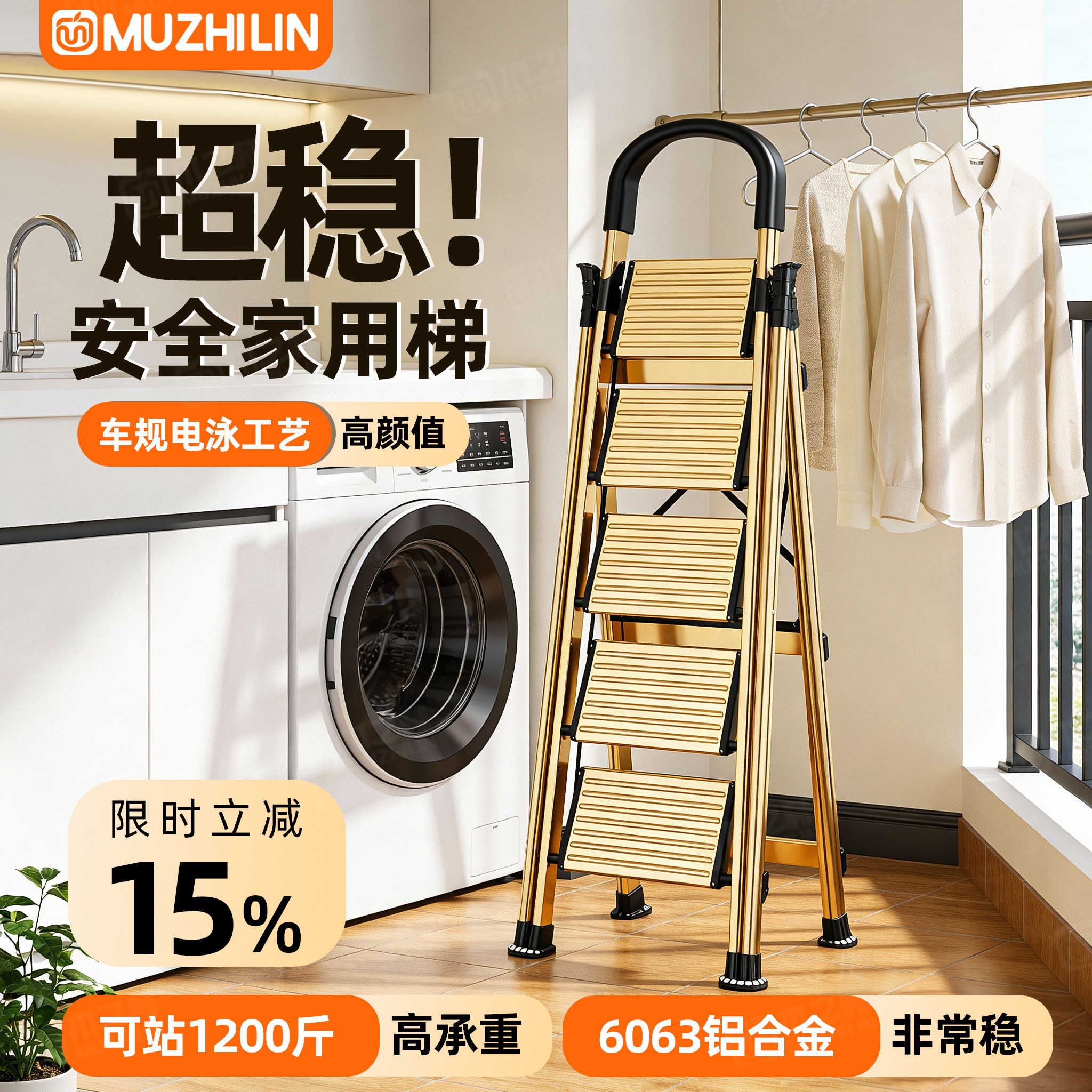 【德标品质TOP】3.0铁厚家用梯