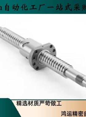 滚珠丝杆BSWE0802 1002-L100 200 300-T7 10 12 13-A B C D
