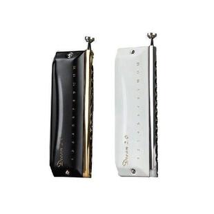 EASTTOP r 2.0 Upade Profional 2 Hole Diatonic Harmonica