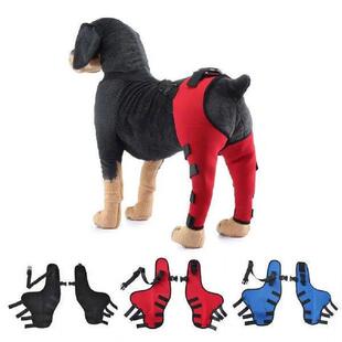 Dog Knee Brace For Torn ACL Hind Leg Adjustable Dual Back