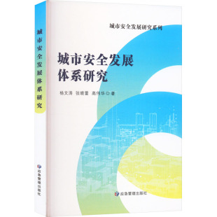城市安全发展体系研究